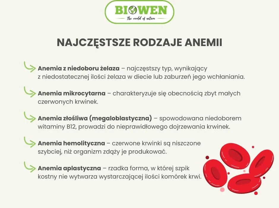 Najczęstsze rodzaje anemii - infografika