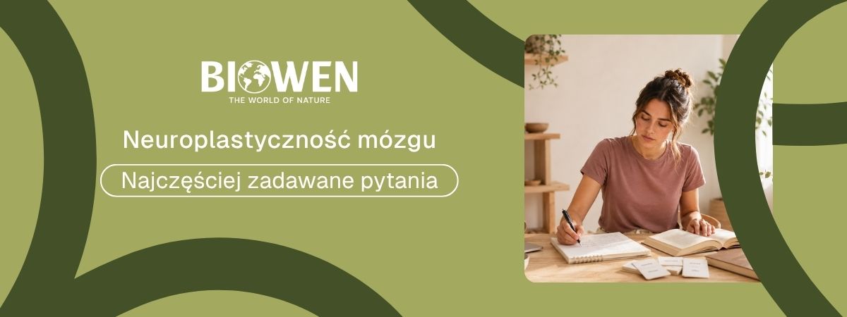 Neuroplastyczność mózgu faq - najczęściej zadawane pytania