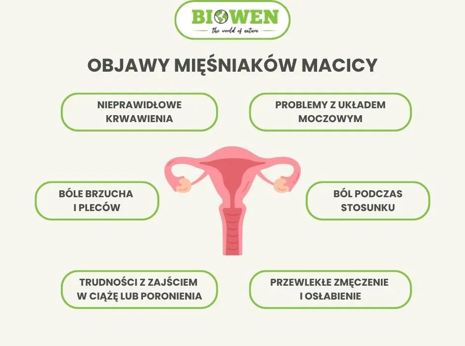 Objawy mięśniaków macicy - infografika