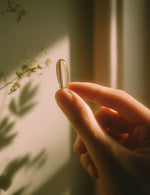 Dłoń trzymająca kapsułkę suplementu Omega 3 z alg Biowen w ciepłym świetle dziennym.