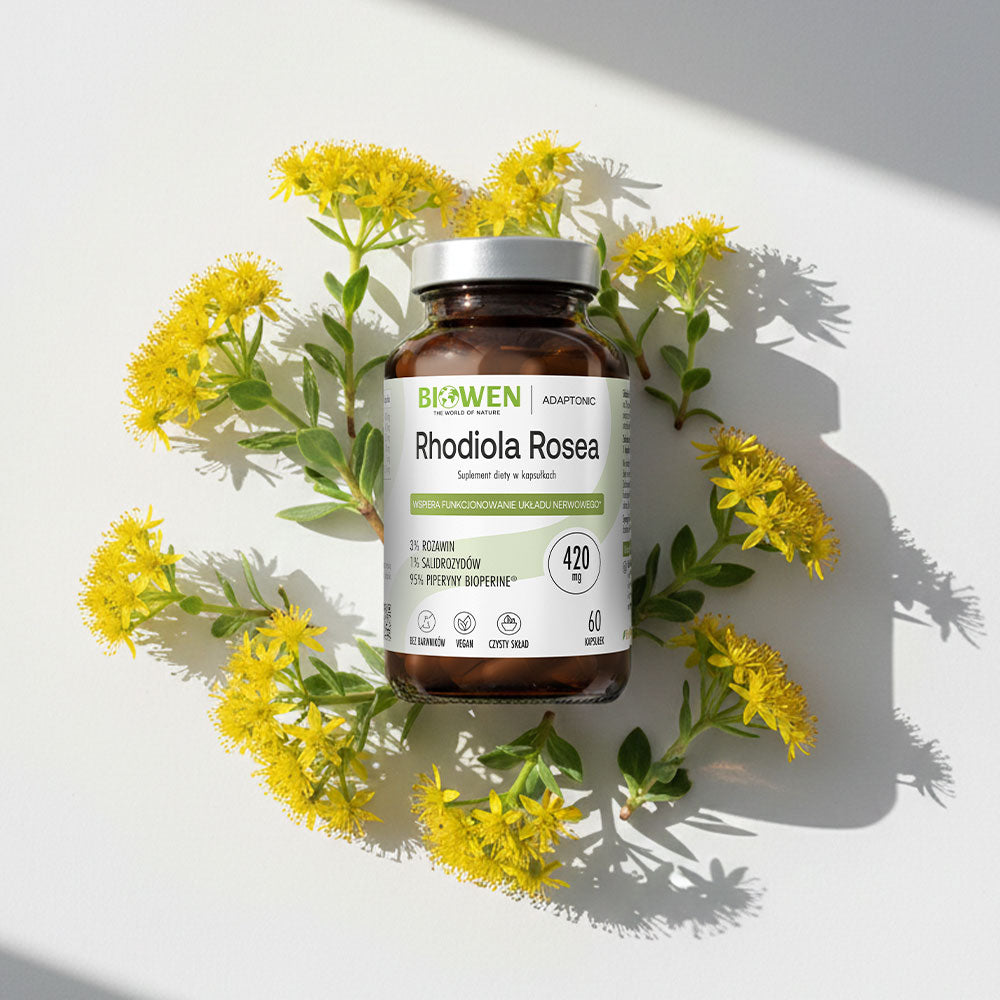 Biowen Rhodiola Rosea suplement diety w bursztynowym słoiku na jasnym tle z żółtymi kwiatami różeńca i cieniami