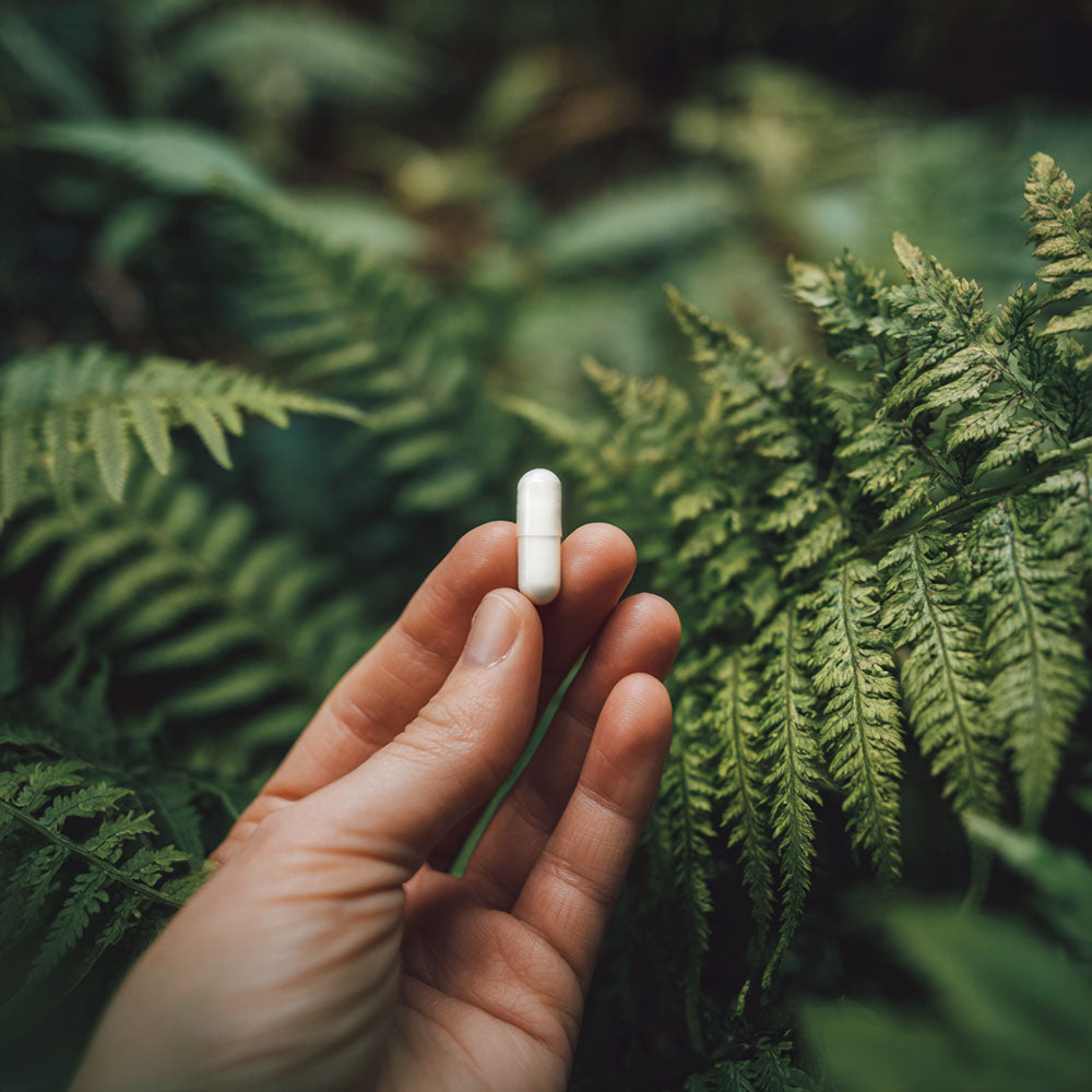 Dłoń trzymająca białą kapsułkę suplementu na tle zielonych paproci w naturalnym otoczeniu