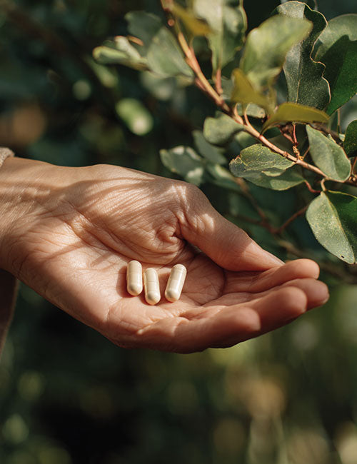Dłoń trzymająca trzy kapsułki suplementu Potas Forte Biowen na tle zielonych liści.