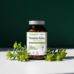 Suplement adaptogenny Biowen Rhodiola Rosea w bursztynowym słoiku z 60 kapsułkami otoczony świeżymi kwiatami różeńca górskiego