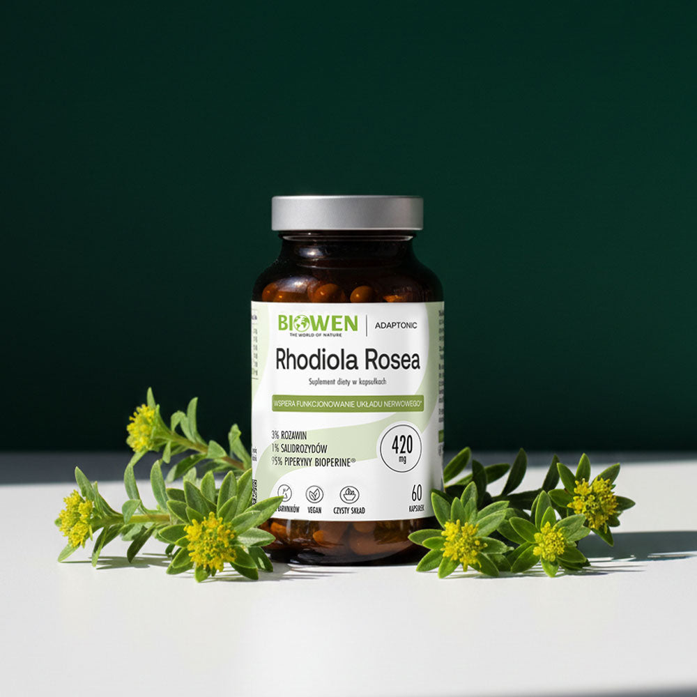 Suplement adaptogenny Biowen Rhodiola Rosea w bursztynowym słoiku z 60 kapsułkami otoczony świeżymi kwiatami różeńca górskiego