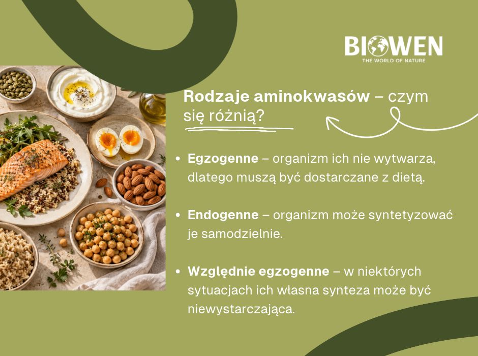 Rodzaje aminokwasów–czym  się różnią - infografika