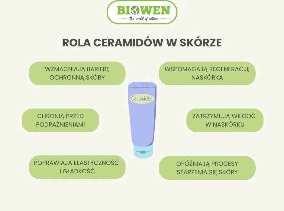 Rola ceramidów w skórze - infografika