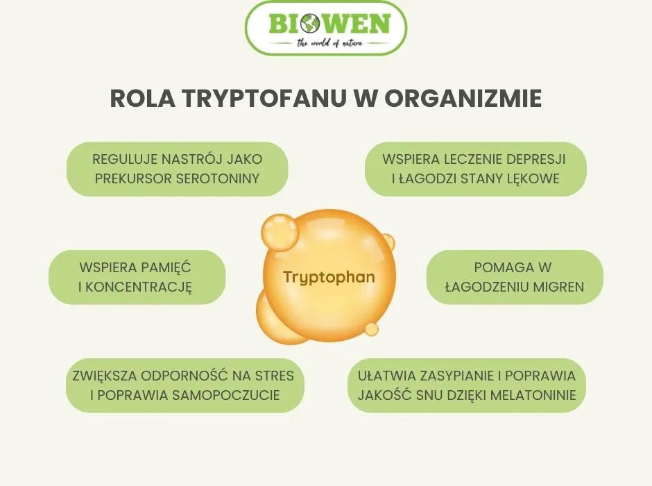Rola tryptofanu w organizmie - infografika