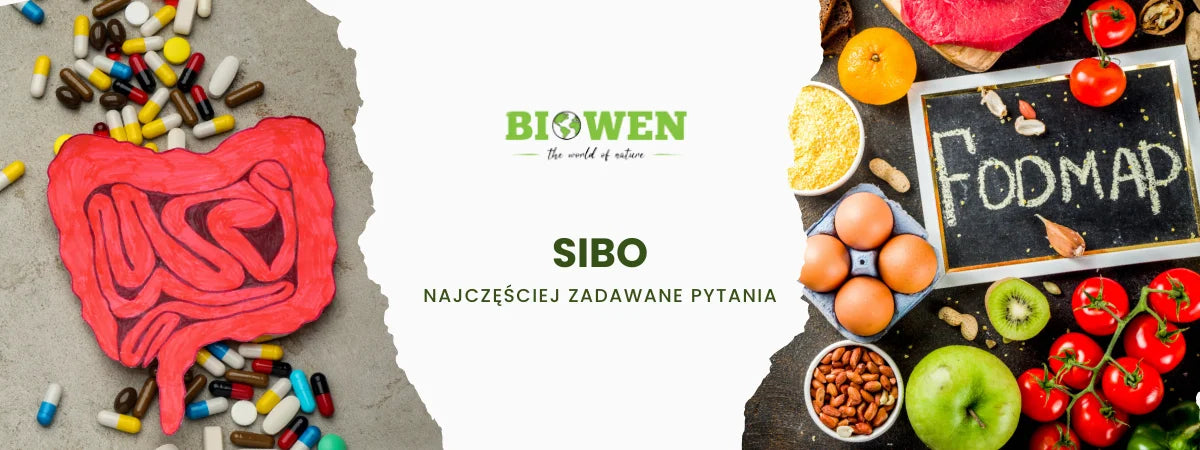 SIBO najczęściej zadawane pytania