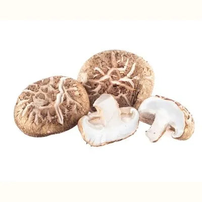 Shiitake grzyb chiński - zdjęcie poglądowe