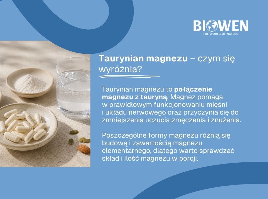 Taurynian magnezu–czym się  wyróżnia - infografika