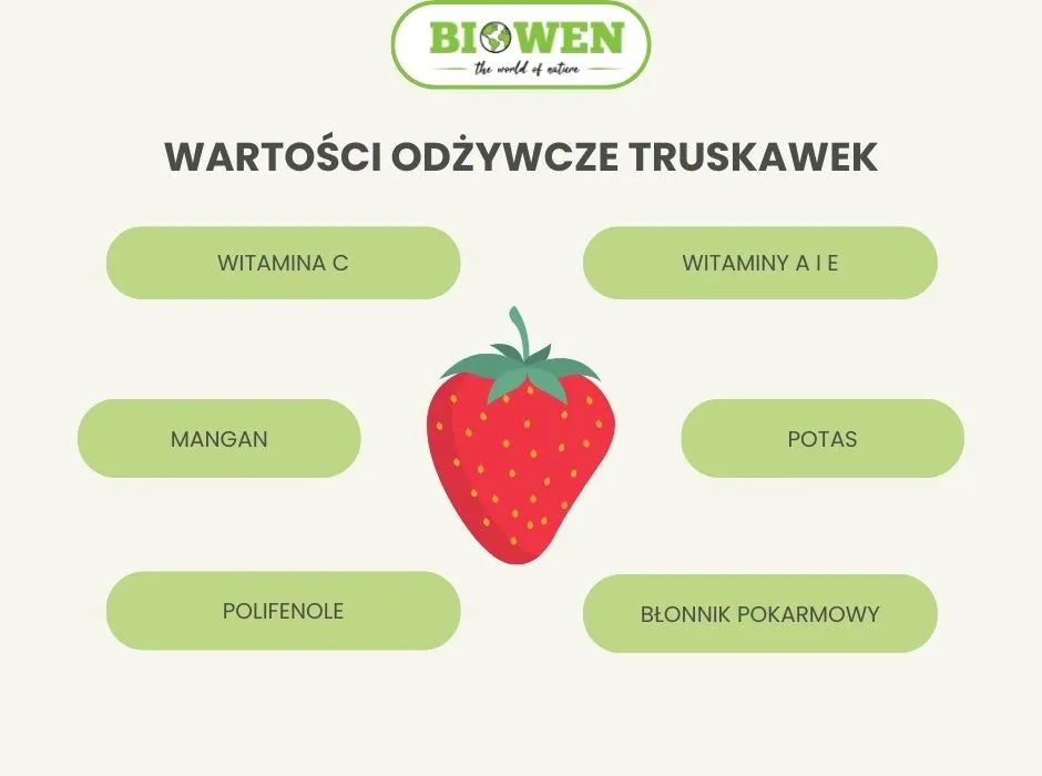 Wartości odżywcze truskawek - infografika