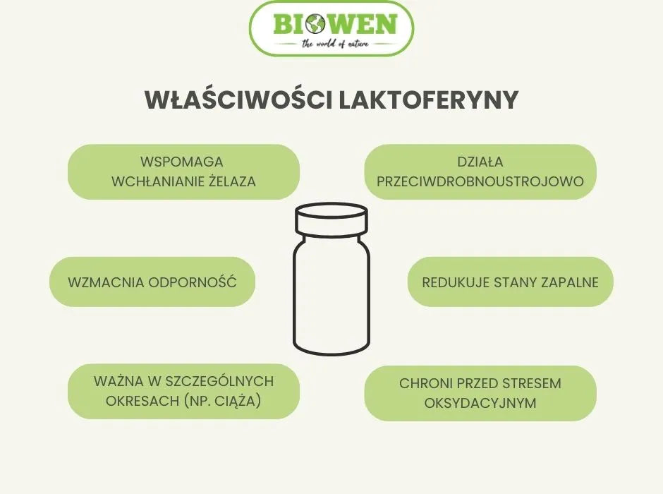 Właściwości laktoferyny - infografika