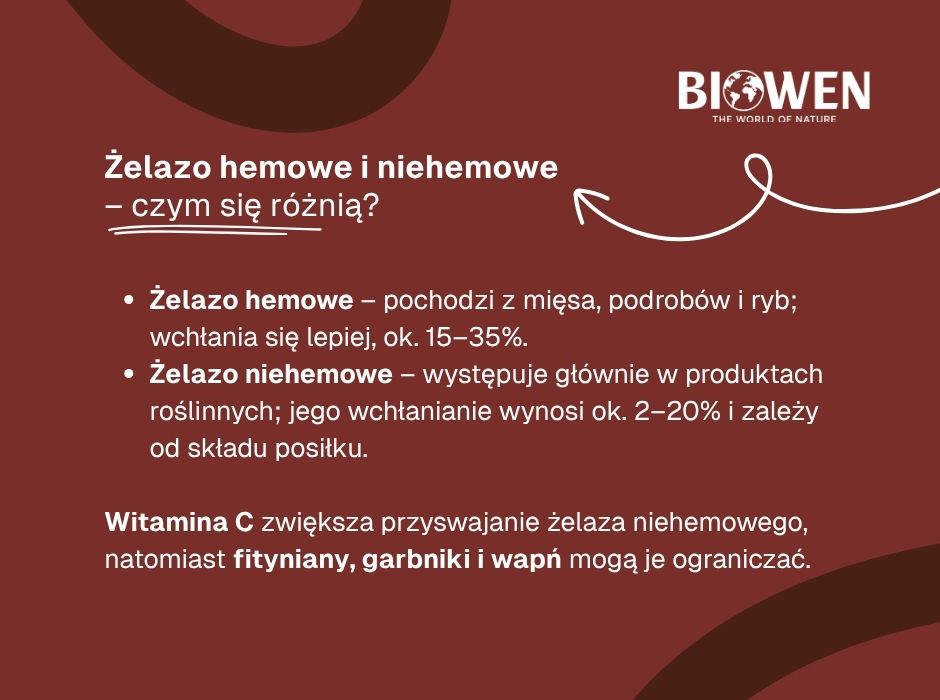Żelazo hemowe i niehemowe–czym się różnią - infografika