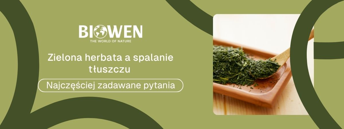 Zielona herbata a spalanie tłuszczu faq - najczęściej zadawane pytania