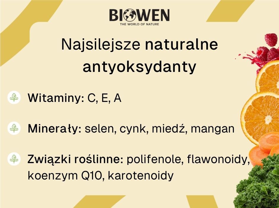 Antyoksydanty - infografika
