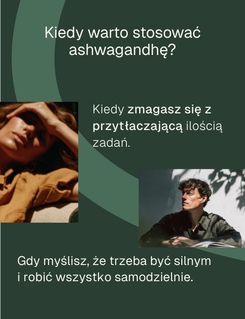 Grafika informacyja kiedy warto stosować ashwagandhę