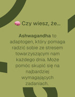 grafika informacyjna czy wiesz, że o ashwagandha