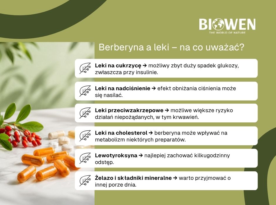 Berberyna a leki – na co uważać? - infografika