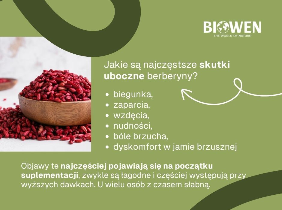Jakie są najczęstsze skutki uboczne berberyny FAQ - infografika