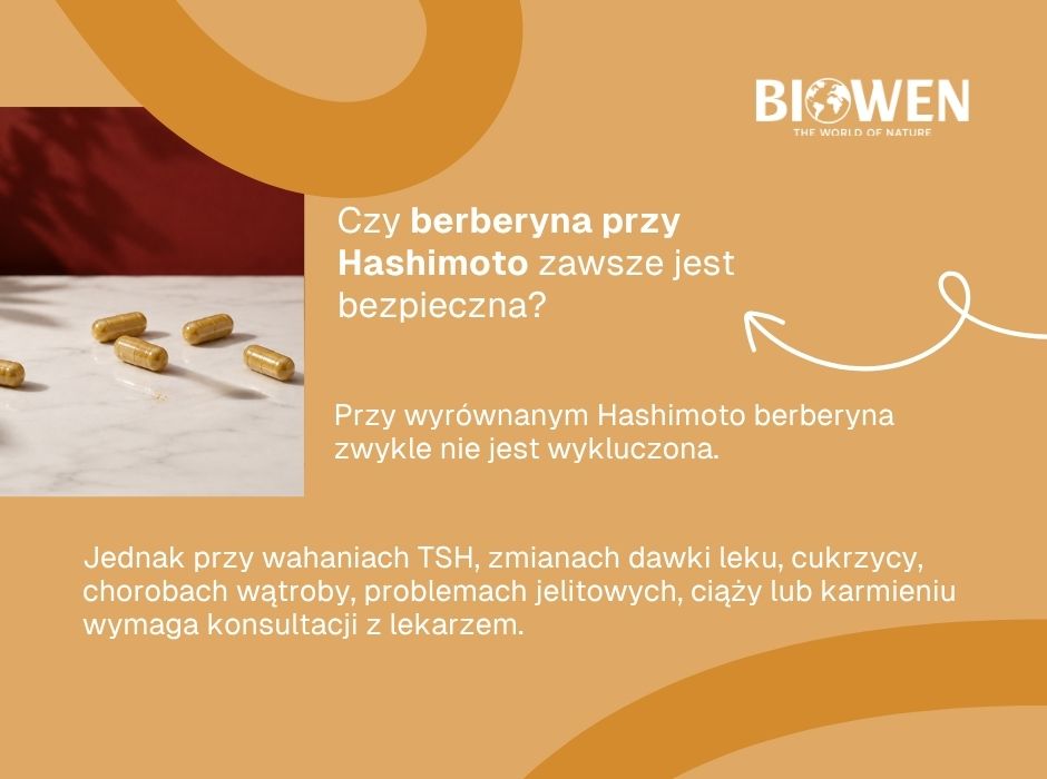 Czy berberyna przy Hashimoto zawsze jest bezpieczna? - infografika