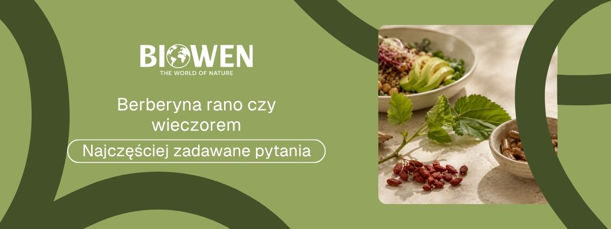Berberyna rano czy wieczorem FAQ - obrazek poglądowy