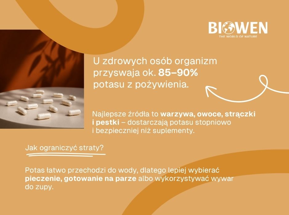Biodostępność potasu - infografika