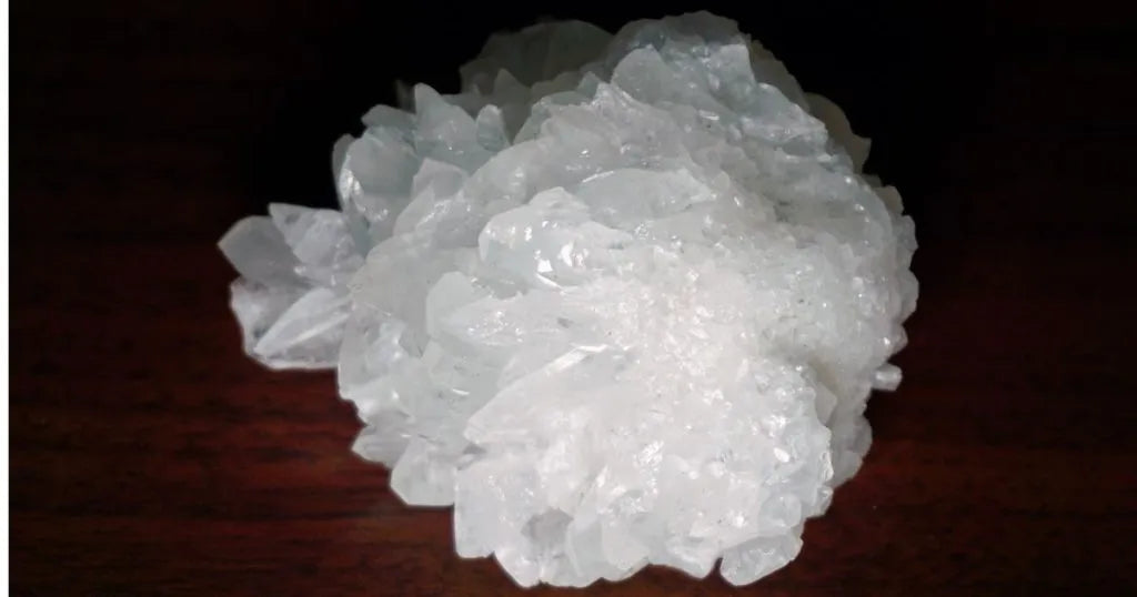 Bor - zdjęcie poglądowe