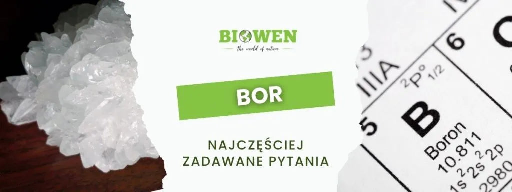 Bor FAQ - najczęściej zadawane pytania
