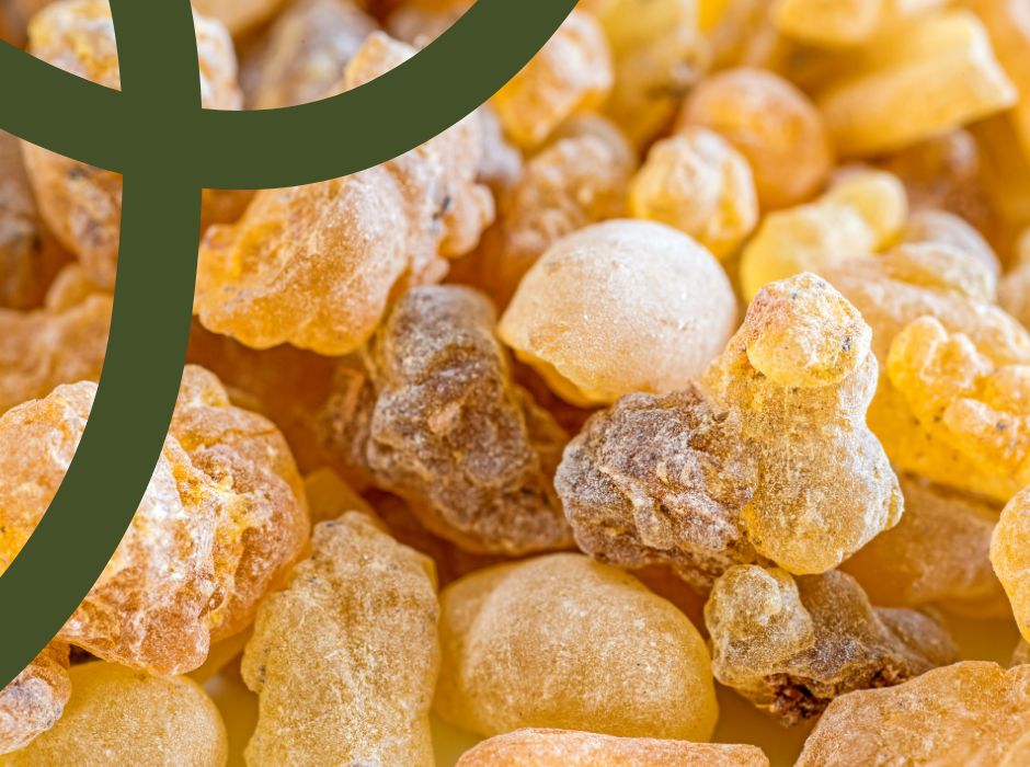 Boswellia serrata - zdjęcie poglądowe