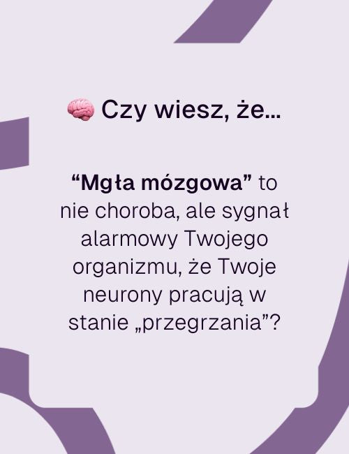 Grafika informacyjna czy wiesz że o mgle mózgowej