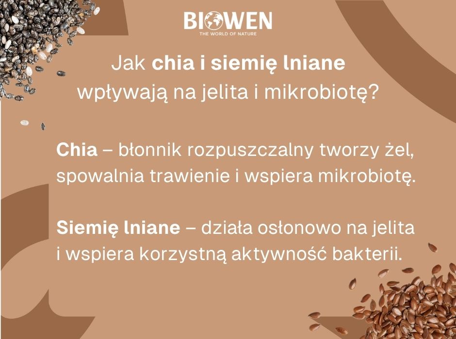 Chia i siemię lniane wpływ na mikrobiotę - infografika