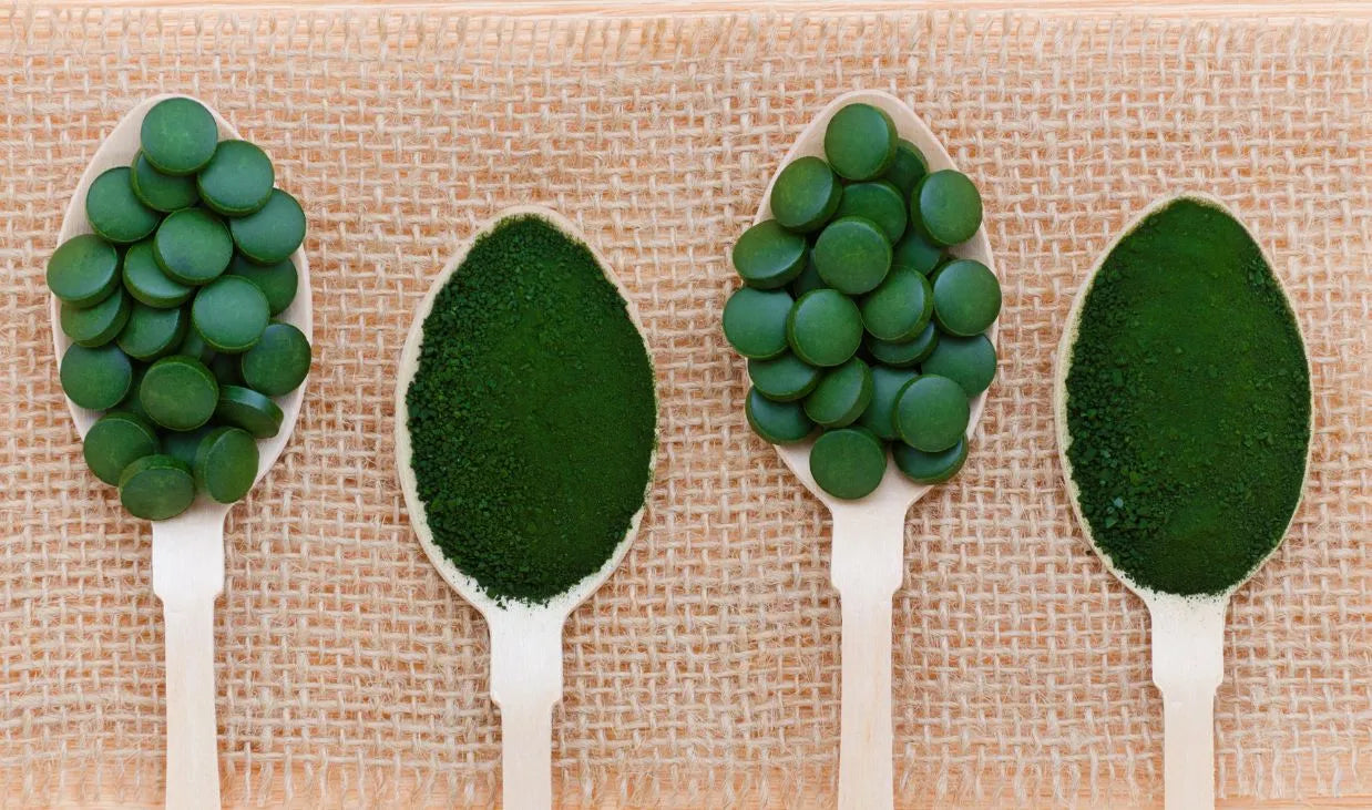 chlorella - zdjęcie poglądowe