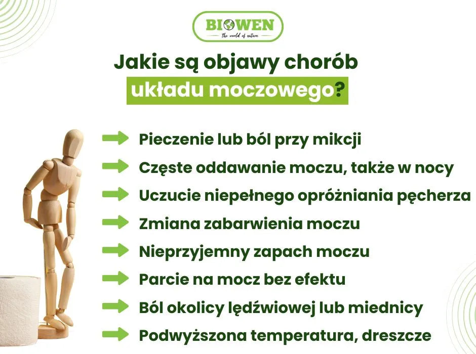 Choroby układu moczowego objawy - infografika