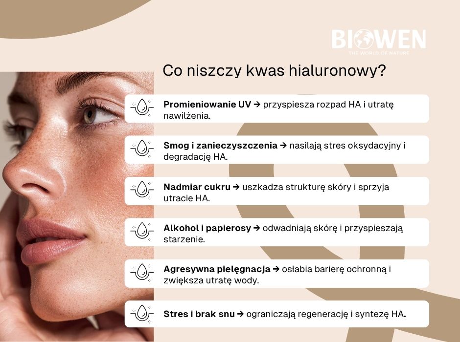 Co niszczy kwas hialuronowy? - infografika