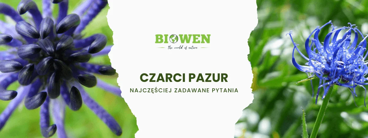 Czarci pazur FAQ - najczęściej zadawane pytania