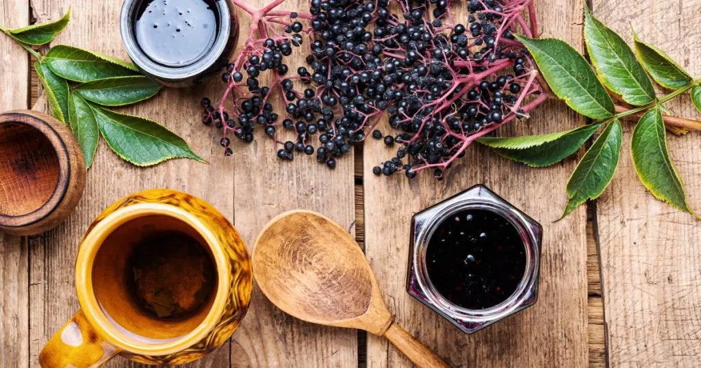 Czarny bez - zdjęcie poglądowe