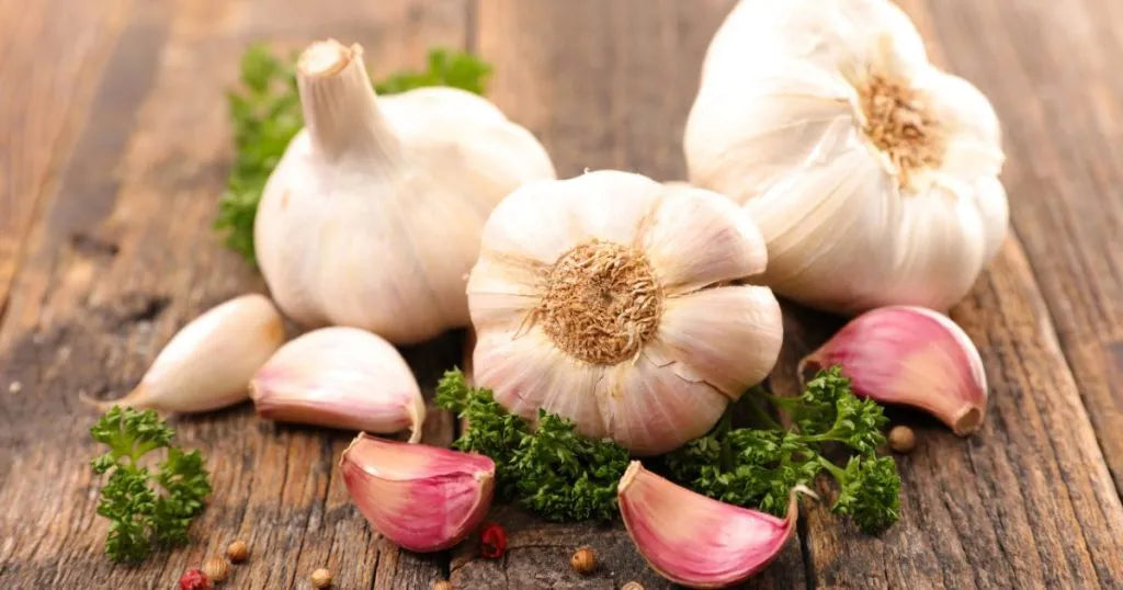 Czosnek na pasożyty - zdjęcie poglądowe