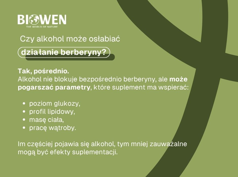 Czy alkohol osłabia działanie berberyny - infografika