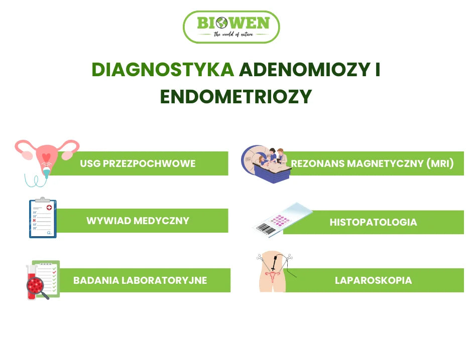 Diagnostyka adenomiozy - infografika