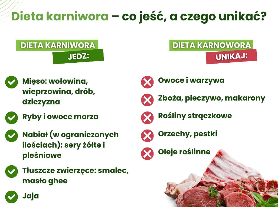 Dieta karniwora co jeść - infografika