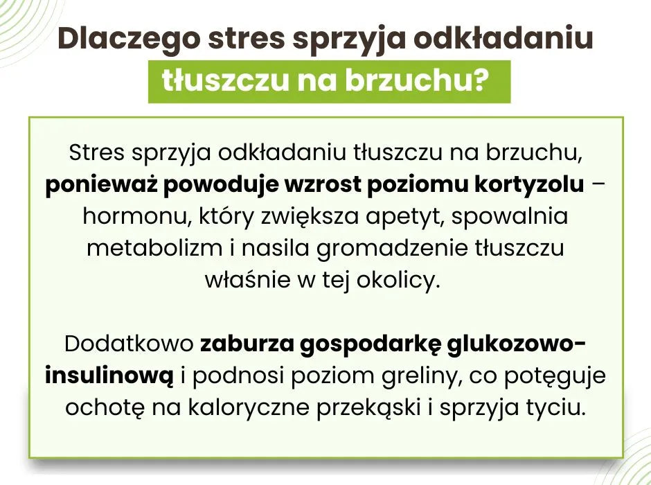 Dlaczego stres sprzyja odkładaniu tłuszczu na brzuchu? - infografika
