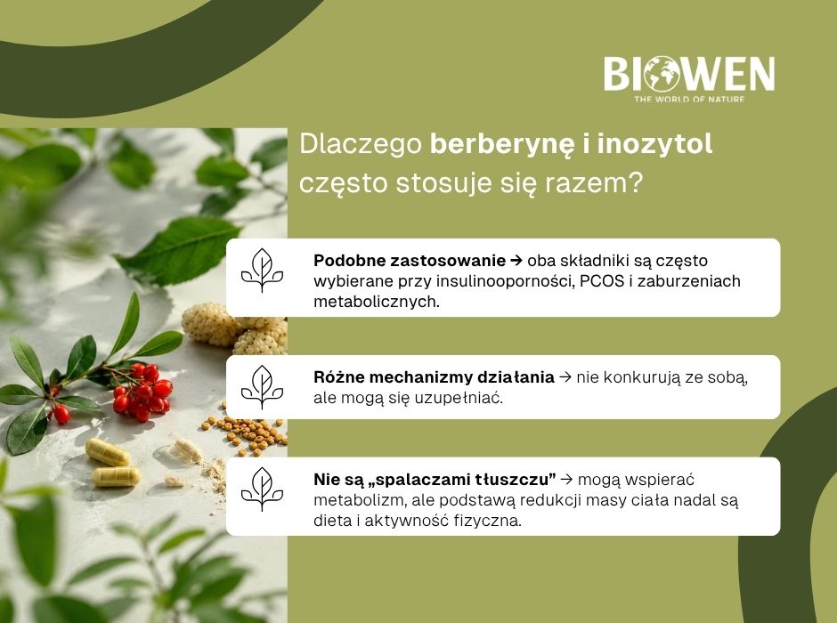 Dlaczego berberynę i inozytol często stosuje się razem? - infografika