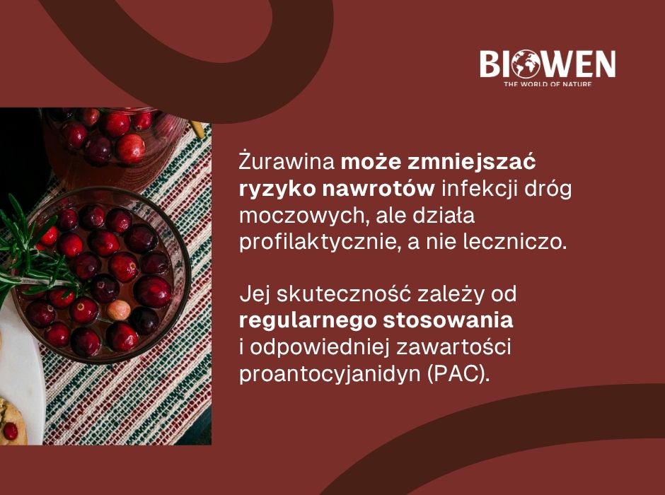 Działanie żurawiny na układ moczowy - infografika
