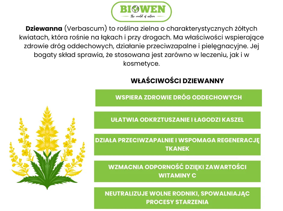 Dziewanna właściwości - infografika