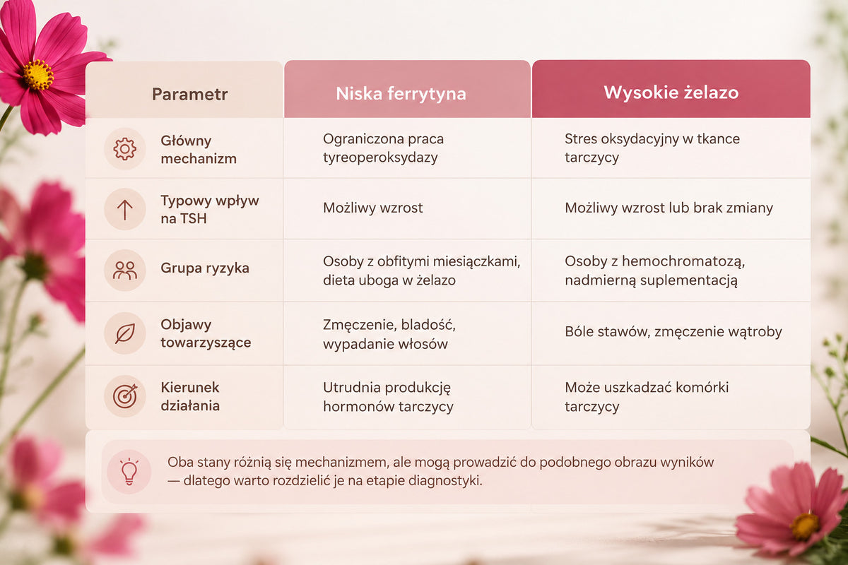 Jaki jest związek między ferrytyną a TSH? - tabela