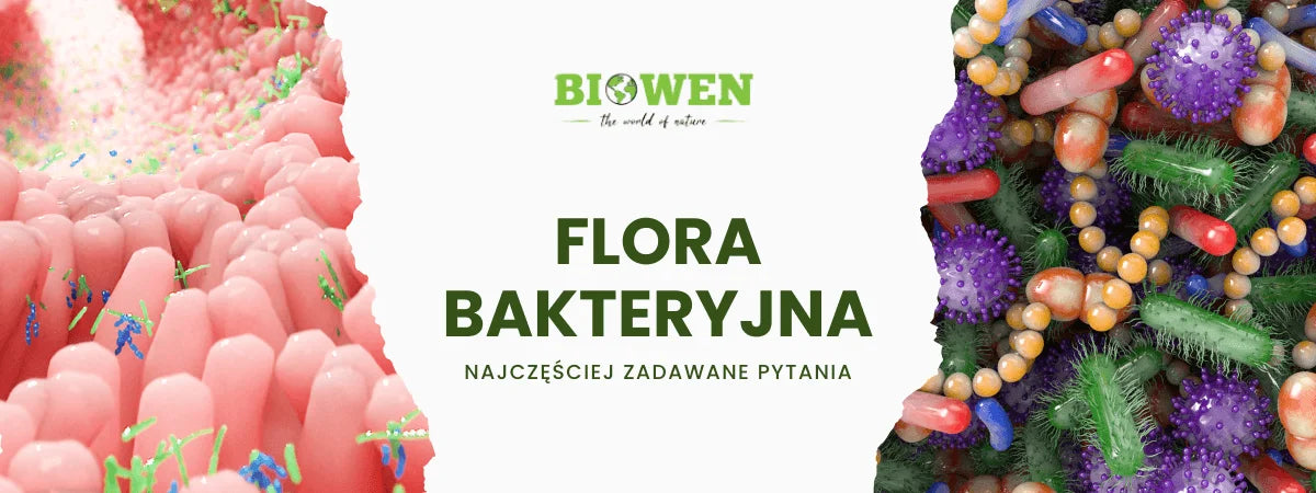 Flora bakteryjna FAQ - obrazek poglądowy