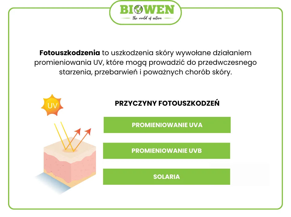 Fotouszkodzenia - infografika
