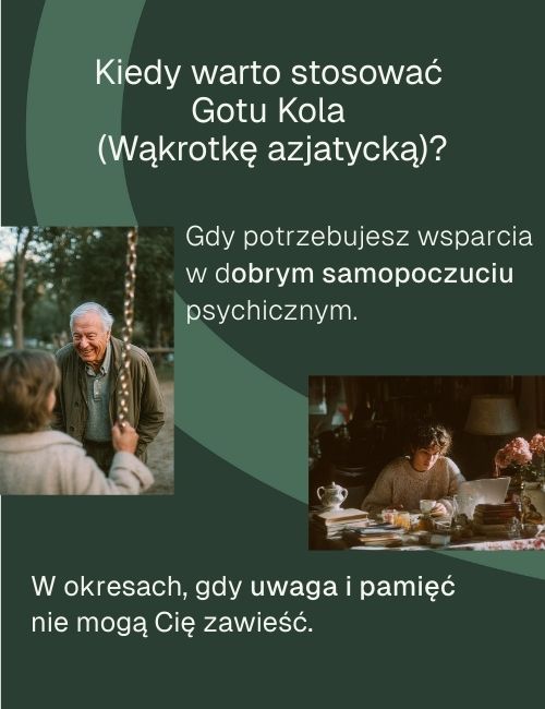 Grafika informacyjna kiedy warto stosować gotu kola