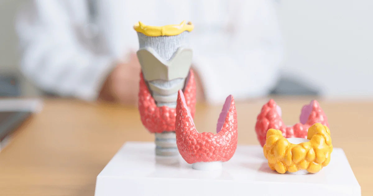 Hashimoto badania - zdjęcie poglądowe